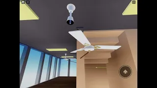 Crazy ceiling fan land