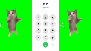 iphoneで猫ミーム演奏してみた