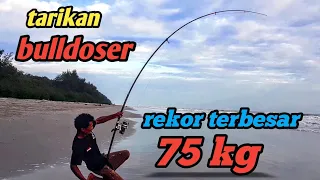 Stingray STRIKE 75 KG || SAND FISHING THE BIGGEST RECORD