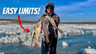 Winter Fishing a SPILLWAY! (Corpus Christi, Tx)