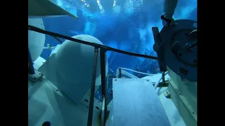 NBL Scuba Diving Large