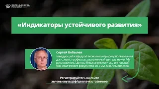 Вебинар: "Индикаторы устойчивого развития"