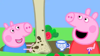 Peppa Pig Full Episodes | Season 8 | Compilation 75 | Kids Video