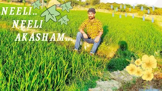 Neeli Neeli Akasham Full Video Song - 30 Rojullo Preminchadam Ela / Pradeep Machiraju // #Bhanu