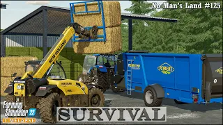 Survival in No Man's Land Ep.125🔹Rolling Sowed Fields. Fertilizing a Grass Field. Weeds Control🔹FS22