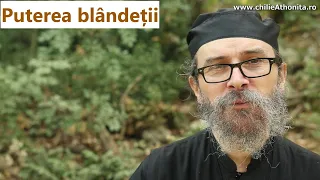 Puterea blândeții - p. Teologos