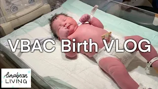 Let's Have A Baby! | WELCOME BABY JACK | Labor & Delivery VLOG