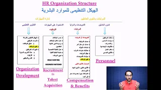 شرح هيكل ووظائف الـ HR "للمبتدئين"  -  HR structure & functions