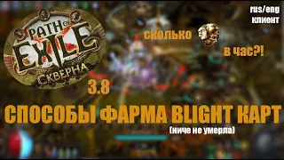 3.8 СТОИТ ЛИ ФАРМИТЬ BLIGHT КАРТЫ?! СРАВНЕНИЕ ДВУХ СПОСОБОВ ФАРМА.