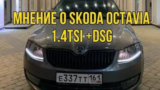 МНЕНИЕ О ШКОДА ОКТАВИЯ А7 1.4 DSG / SKODA OCTAVIA A7