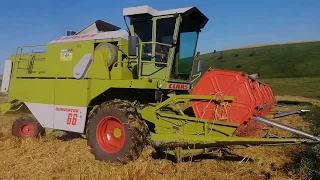 Жнива 2020.Озимий ячмінь..Важкий початок #claas #dominator