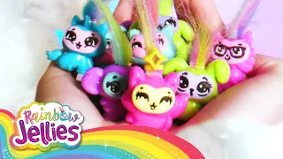 Rainbow Jellies | 🌈 ENDLESS SQUISHABILITIES🌈 Rainbow Jellies Surprise Creation Kit