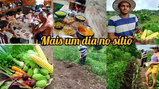 dia a dia na roça -chuva/colheita/almoço/plantando amendoim e milho - VALDIR BARBOSA