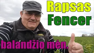 Rapsas Fencer/balandžio mėn