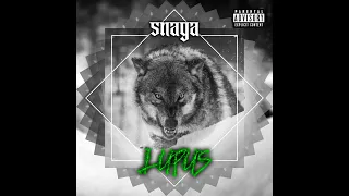 SNAGA - LUPUS (OFFICIAL VISUALIZER)