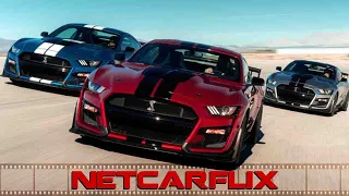 2020 Mustang Shelby GT500 |Exhaust Sounds| Exterior | Interior | Driving Scene