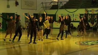 Costa Mesa Middle School Jungle Rally 2018 Dance Team "Circle of Life District 78 Remix"