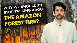 AMAZON FOREST FIRE | Why We shouldn't stop talking about It? | Indiatimes