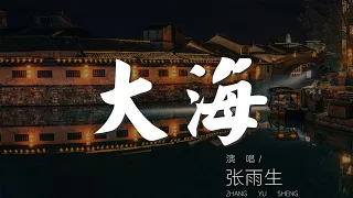 大海 - 張雨生『如果大海能夠喚回曾經的愛』【動態歌詞Lyrics】