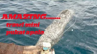 WOW AMAZING, tradisional fishing mini trawl catch