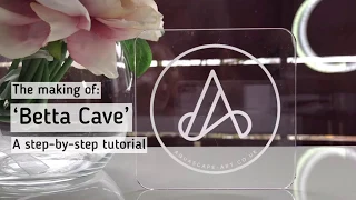 Aquascape Ideas: ‘Betta Cave’ a step by step tutorial with lava rocks and wood hardscape