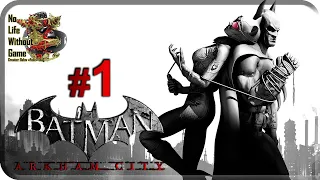 Batman:Arkham City[#1] - Женщина-Кошка (Прохождение на русском(Без комментариев))