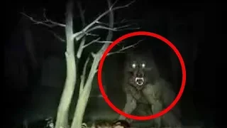 Top 10 Werewolf Caught On Camera & Spotted In Real Life