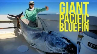 Big Tuna Dreams Season 1 Episode 2 Giant Pacific Bluefin Tuna