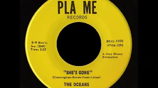 THE OCEANS -  She's Gone