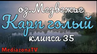 Русская Рыбалка 4 Где Клюет оз Медвежье Карп голый 14 03 23