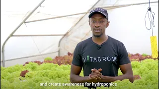 Vitagrow Urban Farms and UNICEF/HIVOS