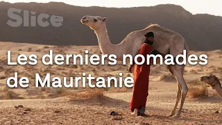 Les derniers pasteurs nomades de l'Adrar | SLICE