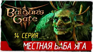 Baldur's Gate 3 -14- МЕСТНАЯ БАБА ЯГА [Прохождение на русском]