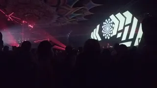 Sonic Species at ageHa Ozora one day in Tokyo 2017.01.21