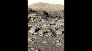 Rocas marcianas erosionadas por el agua hace miles de millones de años en el cráter Jezero.