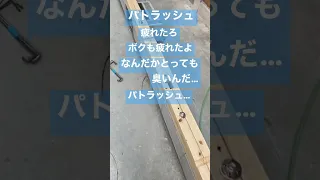 【日本の大工の技】フランダースの大工 Japanese carpenter skills #shorts
