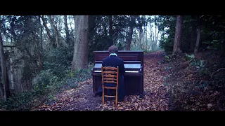 The Path in the Woods | CALM PIANO | Luke Faulkner