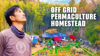 INCREDIBLE Tiny House OFF-GRID HOMESTEAD | SELF-BUILT