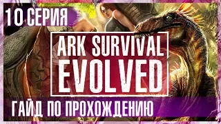 В поисках сокровищ! #Гайд по прохождению.  #Ark Survival Evolved.