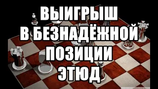 Шахматный этюд. Издание "Шакенд Недерланд", 1962 год.  II почётный отзыв. Шахматная композиция.