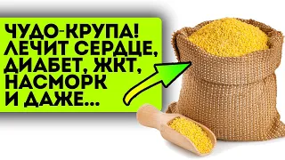 Наши прабабушки знали! Пшенная каша не только вкусная, но и вылечит кучу болезней!