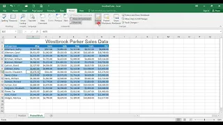 Excel 7 Segment 2 - Protect Worksheet vs Workbook