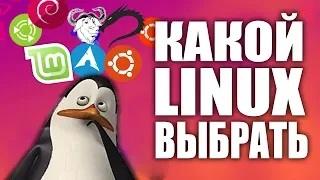 Linux для новичка и анонима.  Какой Linux лучше выбрать?