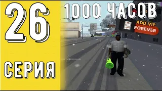 ADD-Vip Навсегда за 1000 часов на Аризона РП в ГТА самп. Получил навсегда АДД вип