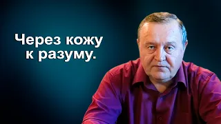 Кем был Пушкин. Что такое любовь. Как сберечь здоровье. Климатический трибунал. Через кожу к разуму