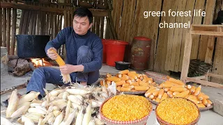 Harvest corn and start making traditional highland corn wine. Green forest life (ep246)