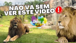 ANIMÁLIA PARK | VALE A PENA