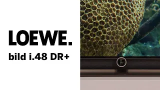 LOEWE bild i.48 DR+ | UHD | OLED | Kurzvorstellung