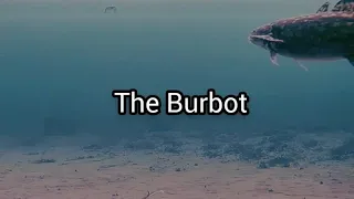 The Secret LIFE of the BURBOT!