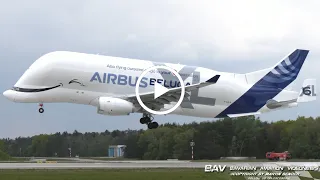 Airbus A330-700L Beluga XL - Airbus Transport International F-GXLO  - landing at Manching Air Base